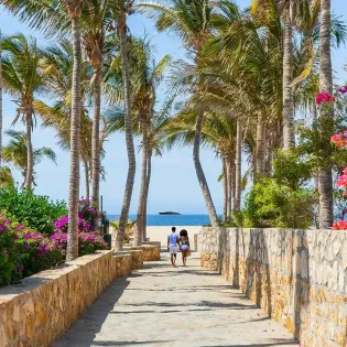 32  pedregal neighborhood 48